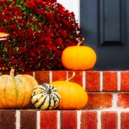 Top Ten Fall Home Selling Tips!